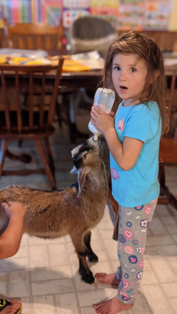 Floyd the felon's first day at Kiser Ridge Farm, getting a bottle before meeting Ida