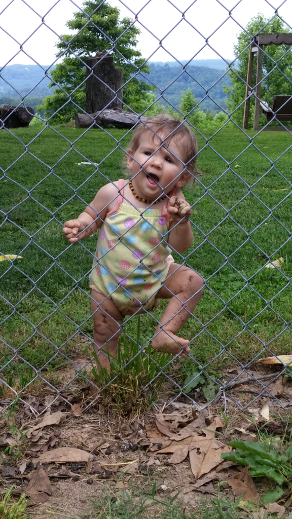 toddler on fence on farm trying to climb
