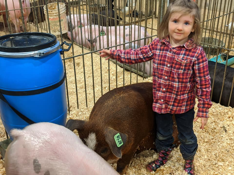 toddler with livestock learning chores