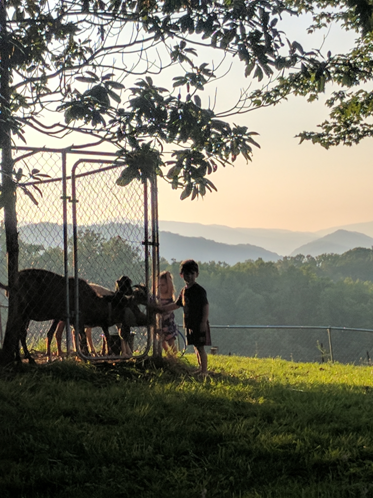 Kids feeding goats Kiser Ridge Farm view of Appalachian foothills in the background