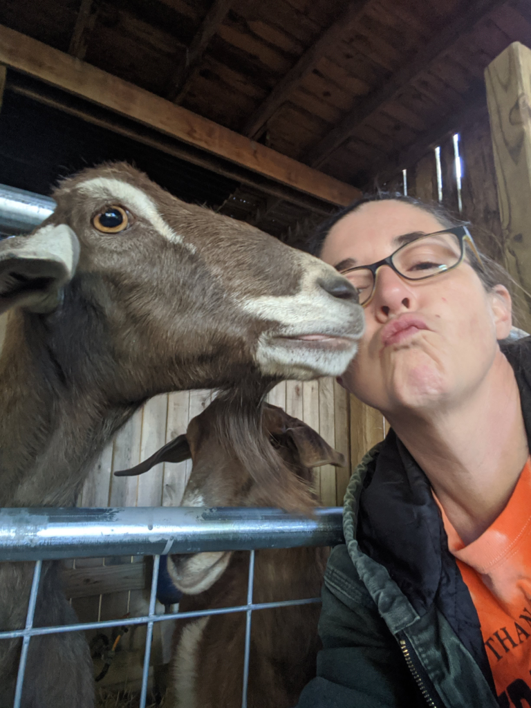 Ida, the goat who raised Floyd, giving kisses at Kiser Ridge Farm