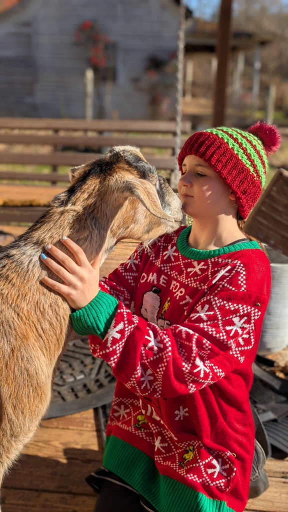 Floyd the Felon, a goat, giving kisses