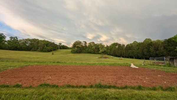 Spring at Kiser Ridge Farm in East Tennessee 