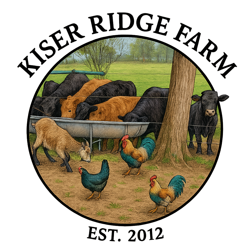 Kiser Ridge Farm in East Tennessee animals feeding