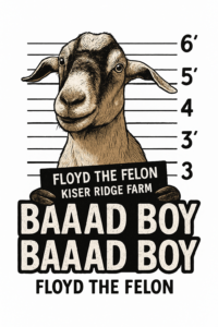 Floyd the Felon mugshot photo