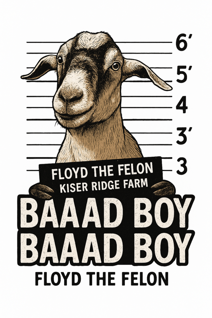 Floyd the Felon goat illustration from Kiser Ridge Farm Merchandise